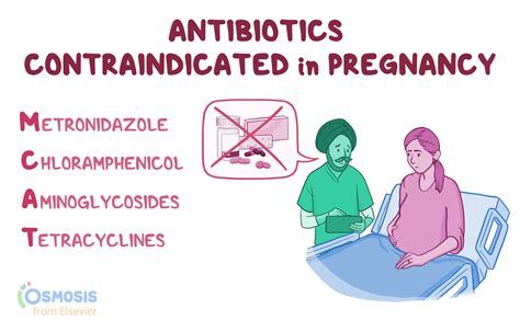 MCAT: Antibiotics Contraindicated in Pregnancy Mnemonic | Osmosis