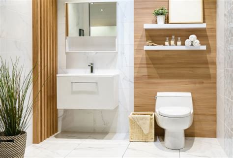 10+ Vastu Tips for Attached Bathroom and Toilet- Vastu For Home