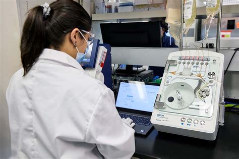 Cell Therapy Process 的图像结果