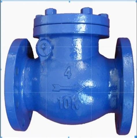 Non Return Valve - Wafer Check Valve Manufacturer from Howrah
