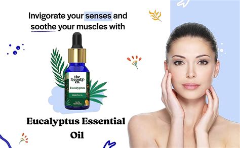 The Beauty Co Eucalyptus Essential Oil for Cold, Cough & Skin Problems ...