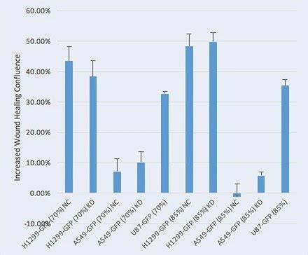 Celigo Wound Healing Assays | Revvity