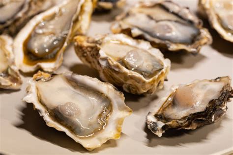 Image result for Muscles Shells