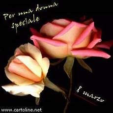 fiori per una donna per una donna speciale fiori per una donna per una donna speciale