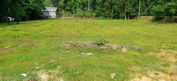 Real Estate Properties at PERUMBAVOOR, Kochi