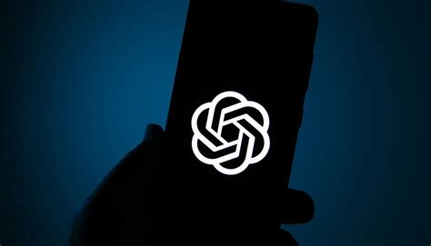 Openai Data Collection and Privacy 的图像结果