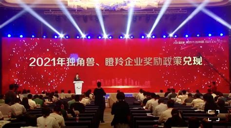 2020南京培育独角兽企业名单汇总- 南京本地宝