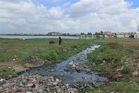 Residents file petition to make Tiruneermalai lake effluent-free
