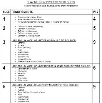 Image result for Neuron Model Project