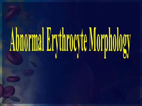 SOLUTION: Abnormal rbc morphology with colourful diagram - Studypool