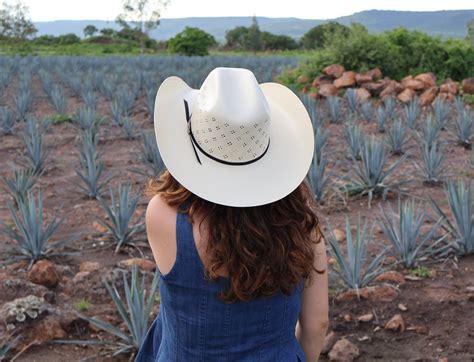 West Point Hats - Compra en línea Texanas y Sombreros