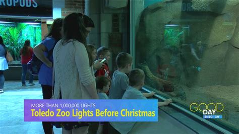 Toledo Zoo's Lights Before Christmas keeps classic attractions, traditions | Good Day on WTOL 11 ...