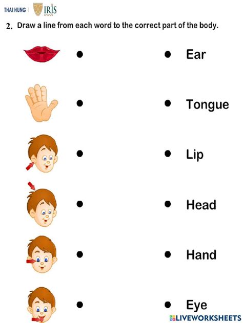 Learning Worksheets 的图像结果