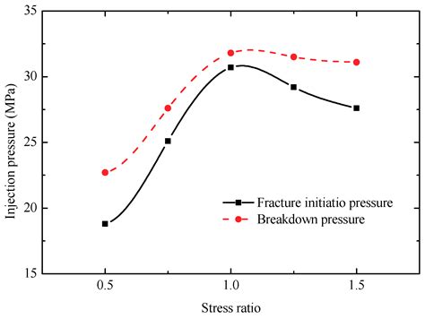 Numerical Study of Fracture Network Evolution during Nitrogen ...