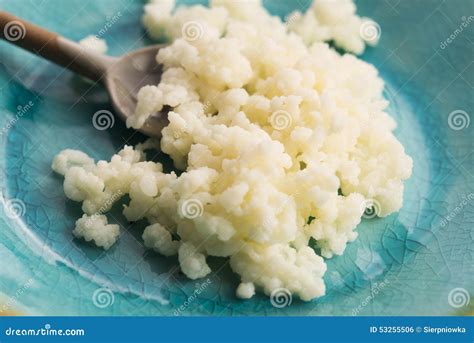 Kefir Milk Grains