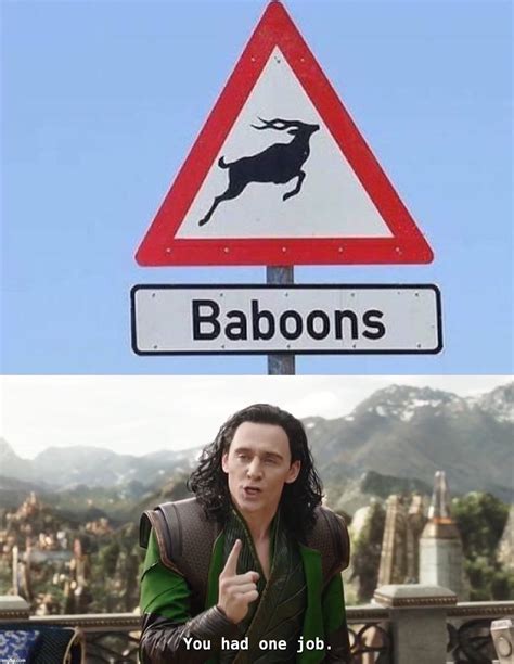 Image tagged in memes,funny,you had one job - Imgflip