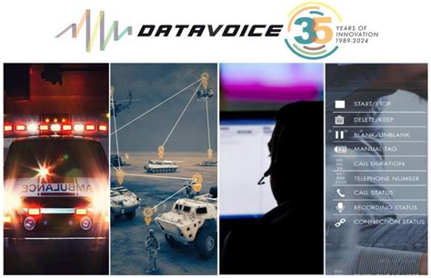 Data Voice 的图像结果