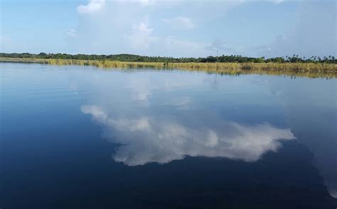LAGUNA TORTUGUERO (2026) All You Need to Know BEFORE You Go (with ...