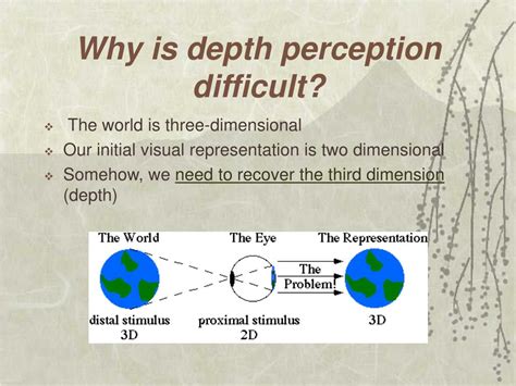Depth Perception Definition 的图像结果