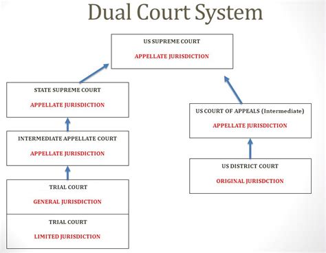 Federal Court System Structure Chart 的图像结果