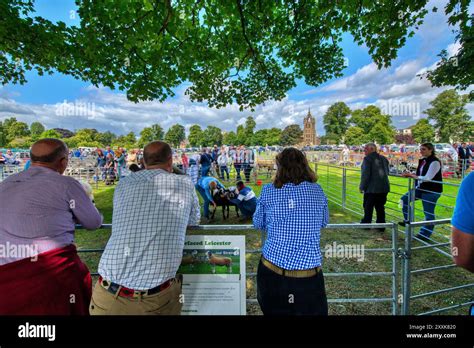 Perth Show 的图像结果