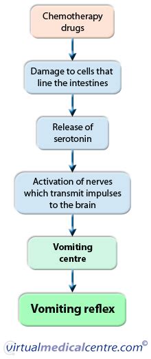 Chemotherapy-induced nausea and vomiting (CINV) | Healthengine Blog