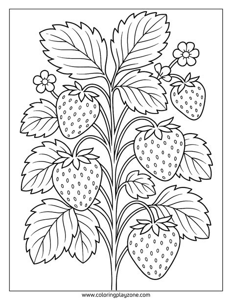72 Free Printable Strawberry Coloring Pages for All Ages