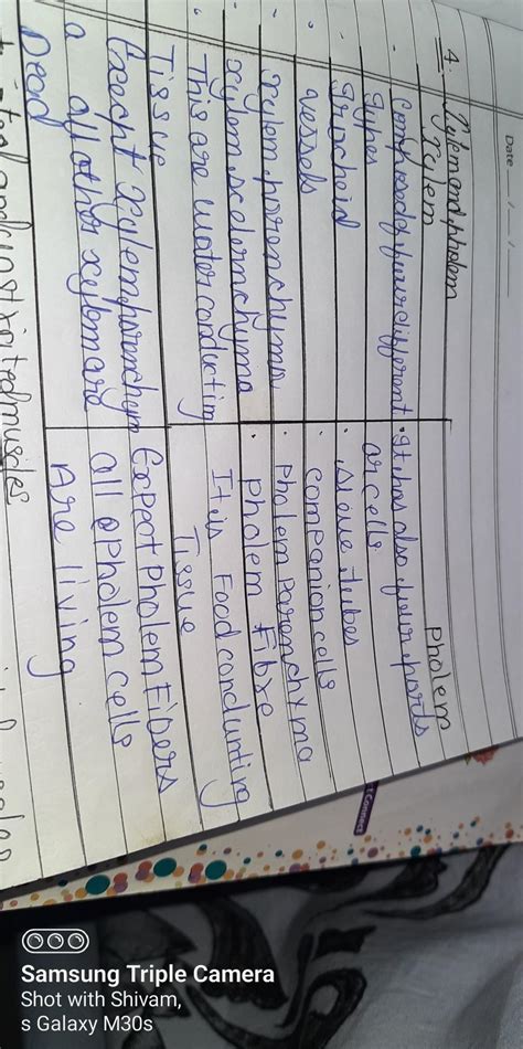 Differentiate between the following a) Bone and cartilage b) Ligament ...