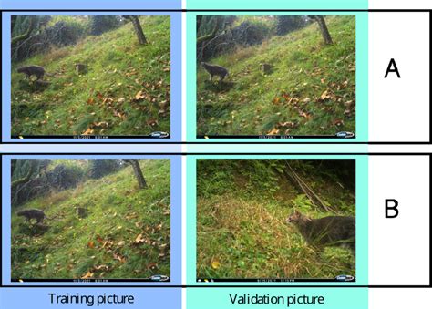 Data Duplication Problem 的图像结果