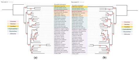 A Genome-Wide Analysis of Nuclear Mitochondrial DNA Sequences (NUMTs ...