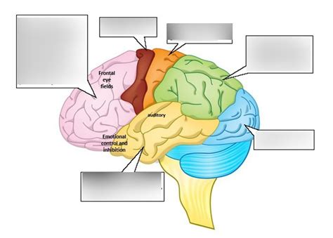 Tutorial Lobe 的图像结果