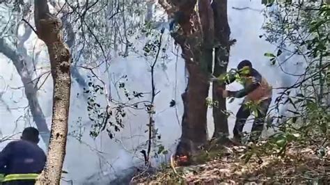 गर्मी बढ़ते ही उत्तराखंड में जंगल दहक उठे, 208 जगहों पर लगी आग, 130 ...