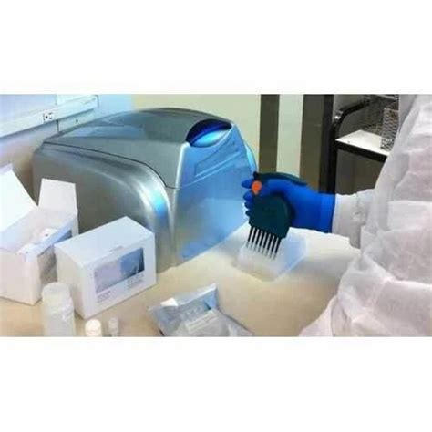 Micro Biological Testing Service - Microbiological Testing Service ...