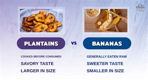 Plantain vs. Banana: 4 Key Differences & A Full Health Comparison