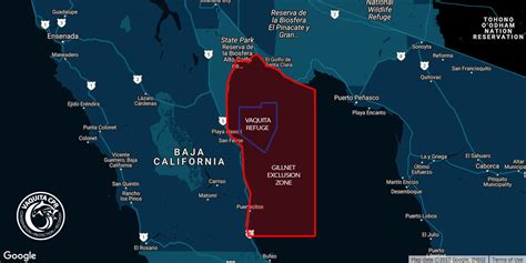 About the Vaquita - VAQUITACPR - habitat of vaquita