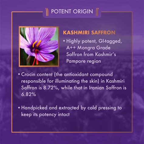 Kashmiri Saffron Gel Moisturizer – Ayuga