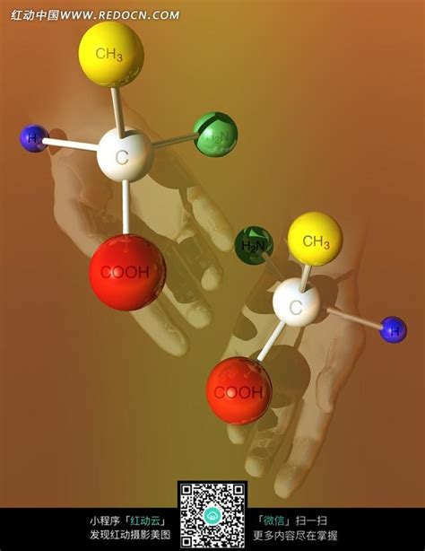 有机物分子结构模型图片免费下载_红动网