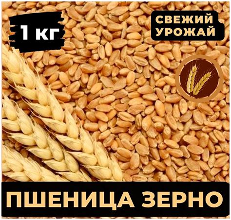 Пшеница, зерно, 1 кг — купить в интернет-магазине по низкой цене на ...
