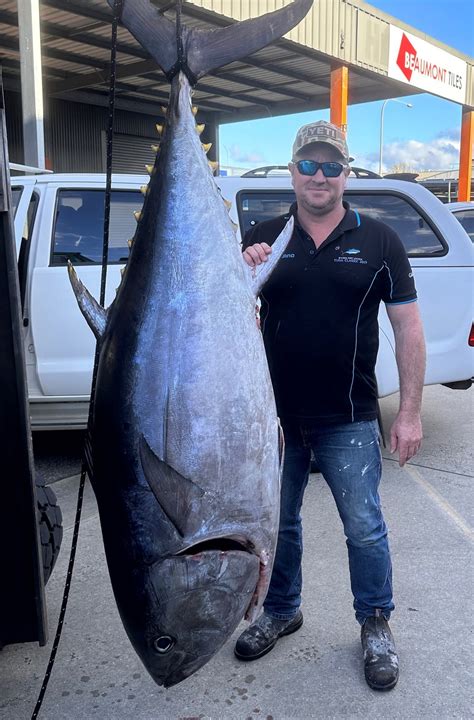 Record Tuna Size