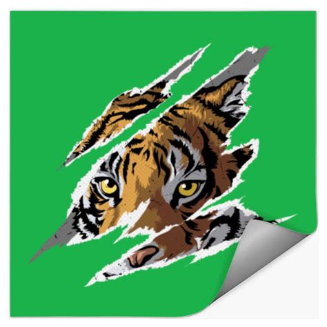Image result for Tiger for Scratch Coding