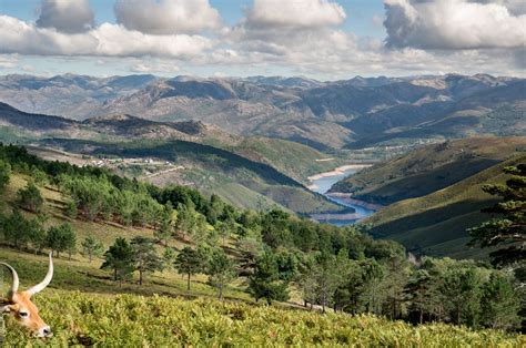 Peneda Geres national park, Portugal, Portugal