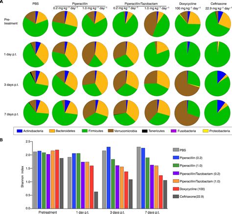 A high-resolution screen identifies a preexisting beta-lactam that specifically treats Lyme ...