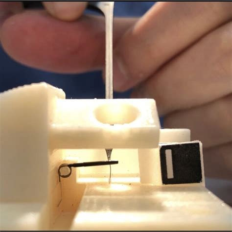 Image result for Contorque Spring