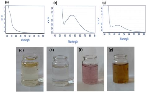 LC/MS Profiling and Gold Nanoparticle Formulation of Major Metabolites ...