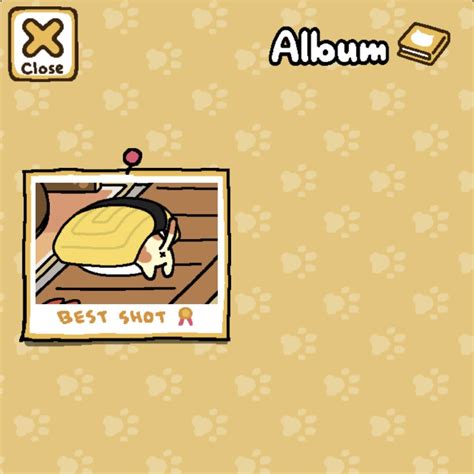I finally got Peaches… but the photo is of her butt 😑 : r/nekoatsume