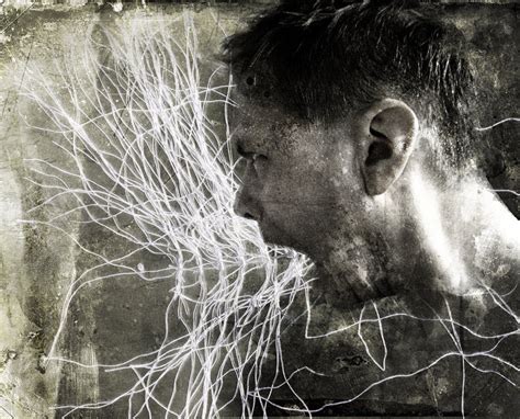 Image result for Evolution of Aggression