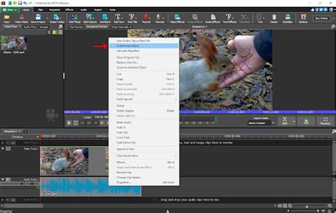 Image result for Remove Audio From Video Software