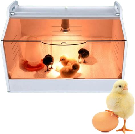 Image result for Large Chicken Brooder