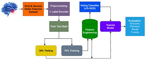 Combining CNN Features with Voting Classifiers for Optimizing ...