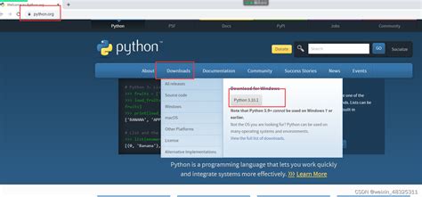 Python 3.10 Setup 的图像结果